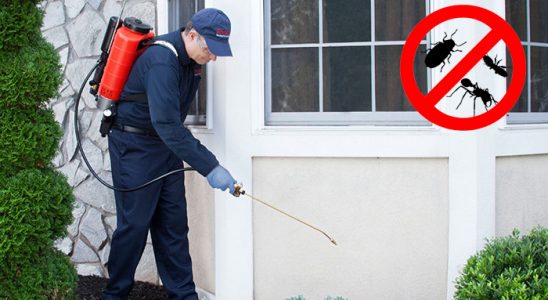 Balışeyh Tahtakurusu İlaçlama böcek ilaçlama ve haşere kontrolü — ilaclama-tr.com